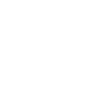 Logo Raveau-Villeger